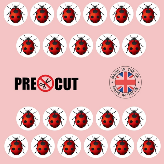 Ladybird Pre-Cut Edible Wafer Cupcake Toppers Pack Of 22