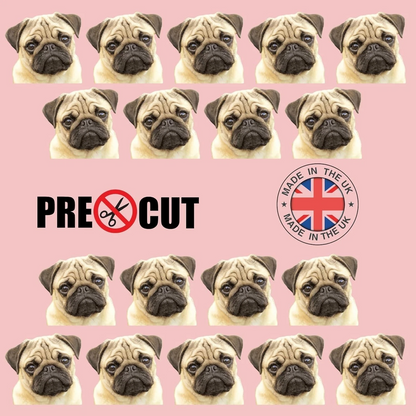Pug Dog Face Pre-Cut Edible Wafer Cupcake Toppers Pack Of 18