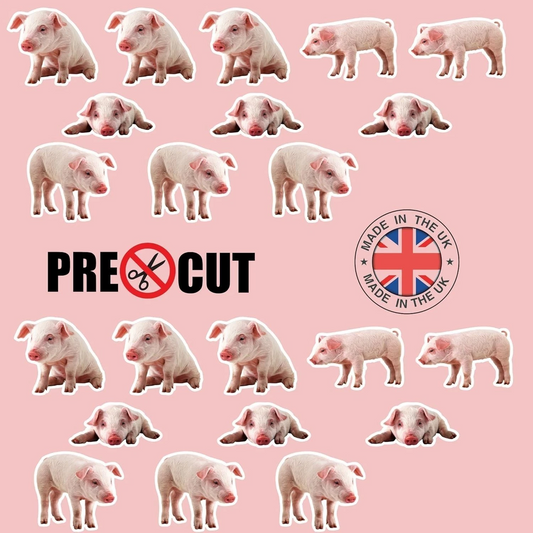 Pig Piglet Pre-Cut Edible Wafer Cupcake Toppers Pack Of 22