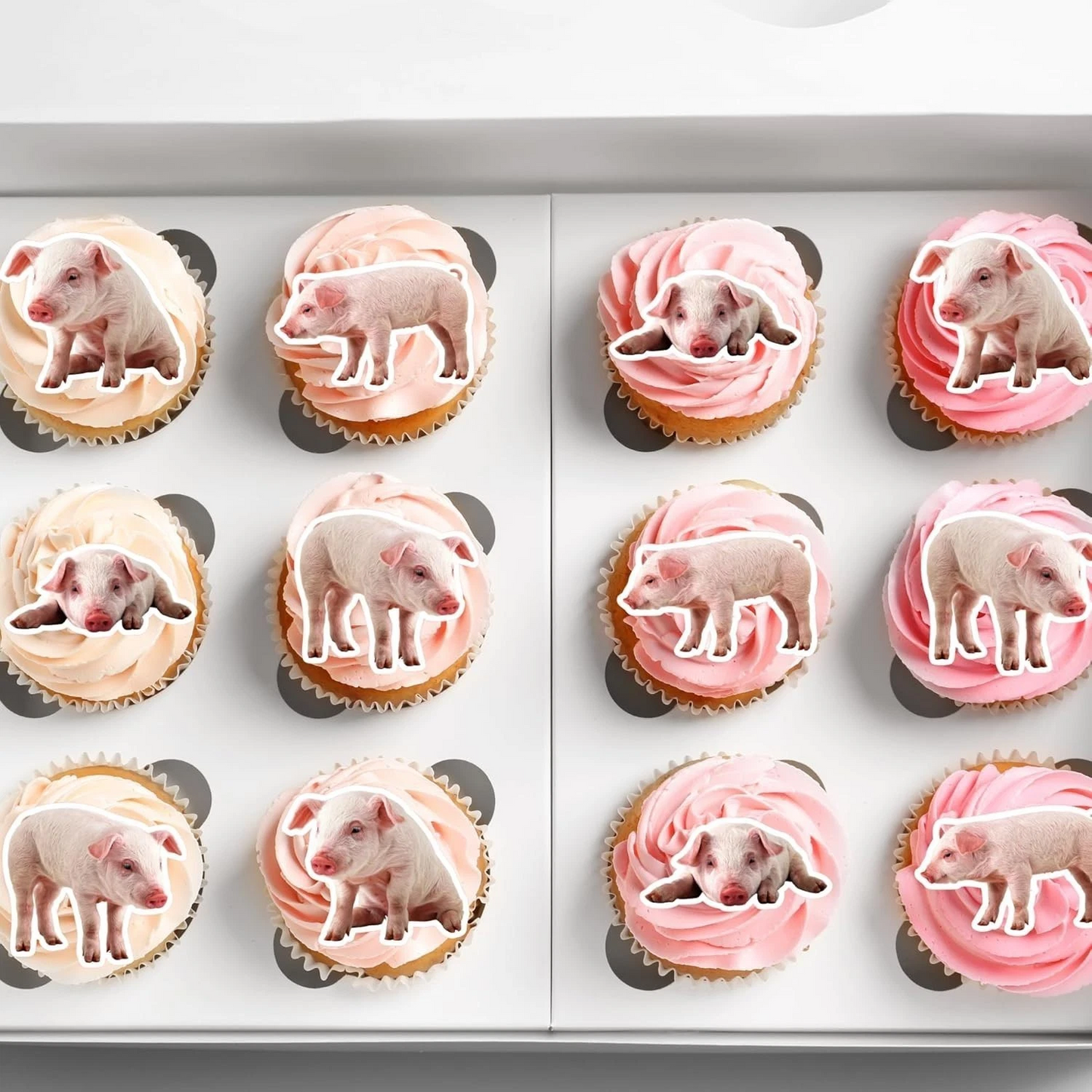 Pig Piglet Pre-Cut Edible Wafer Cupcake Toppers Pack Of 22