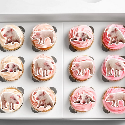 Pig Piglet Pre-Cut Edible Wafer Cupcake Toppers Pack Of 22