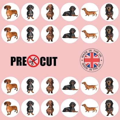 Dachshund Dog Pre-Cut Edible Wafer Cupcake Toppers Pack Of 24