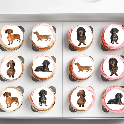 Dachshund Dog Pre-Cut Edible Wafer Cupcake Toppers Pack Of 24