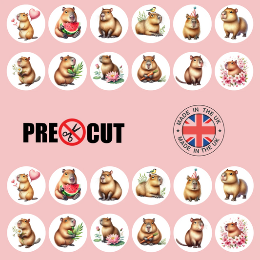 Capybara Pre-Cut Edible Wafer Cupcake Toppers Pack Of 24